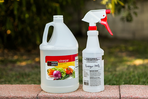 Kill Weeds in Pavers with Vinegar
